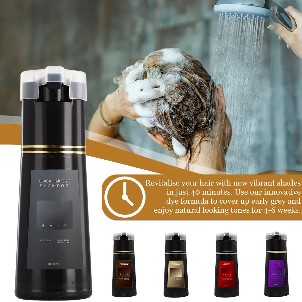 Hair Spray Color - 200ml 10 Minutes Fast Hair Dye